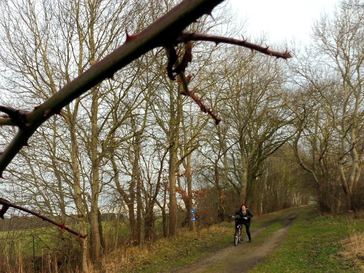 Zimmer In Hafennaehe Dierhagen Exteriör bild